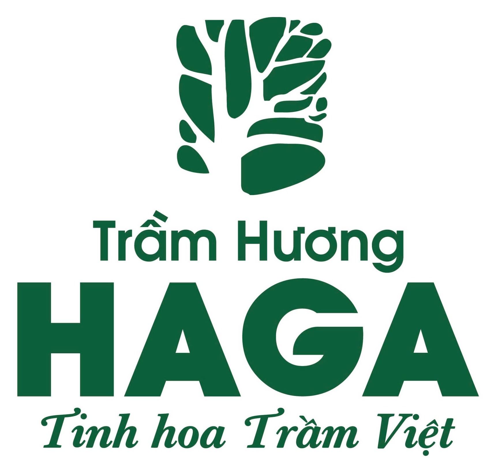 Trầm Hương HAGA – Tinh hoa Trầm Việt